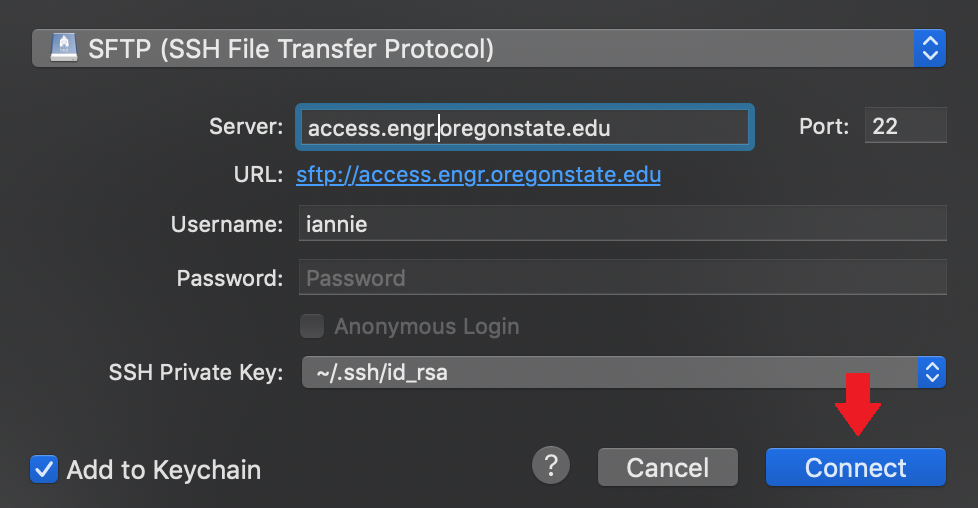 Connect SFTP